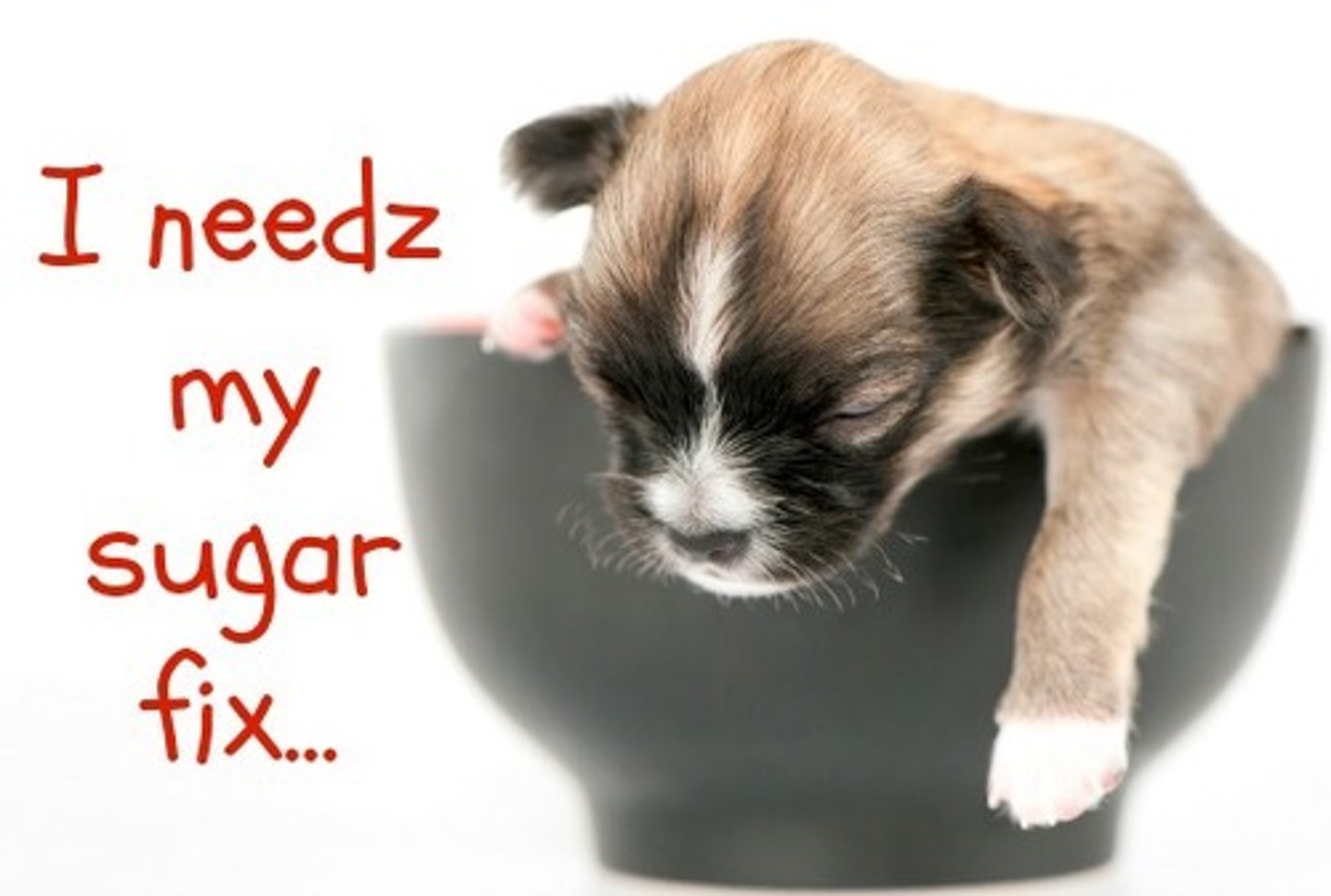 <p>blood glucose &lt;4 mmol/L</p>