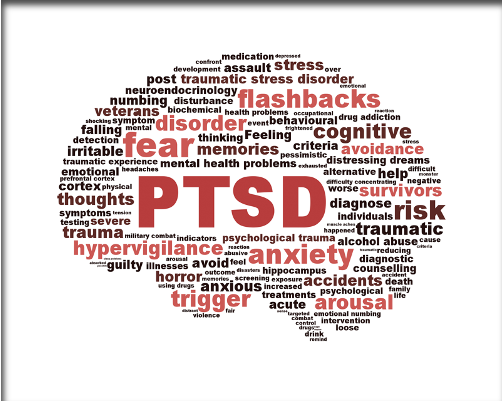 <p><span>Post-traumatic Stress Disorder</span></p><p></p>