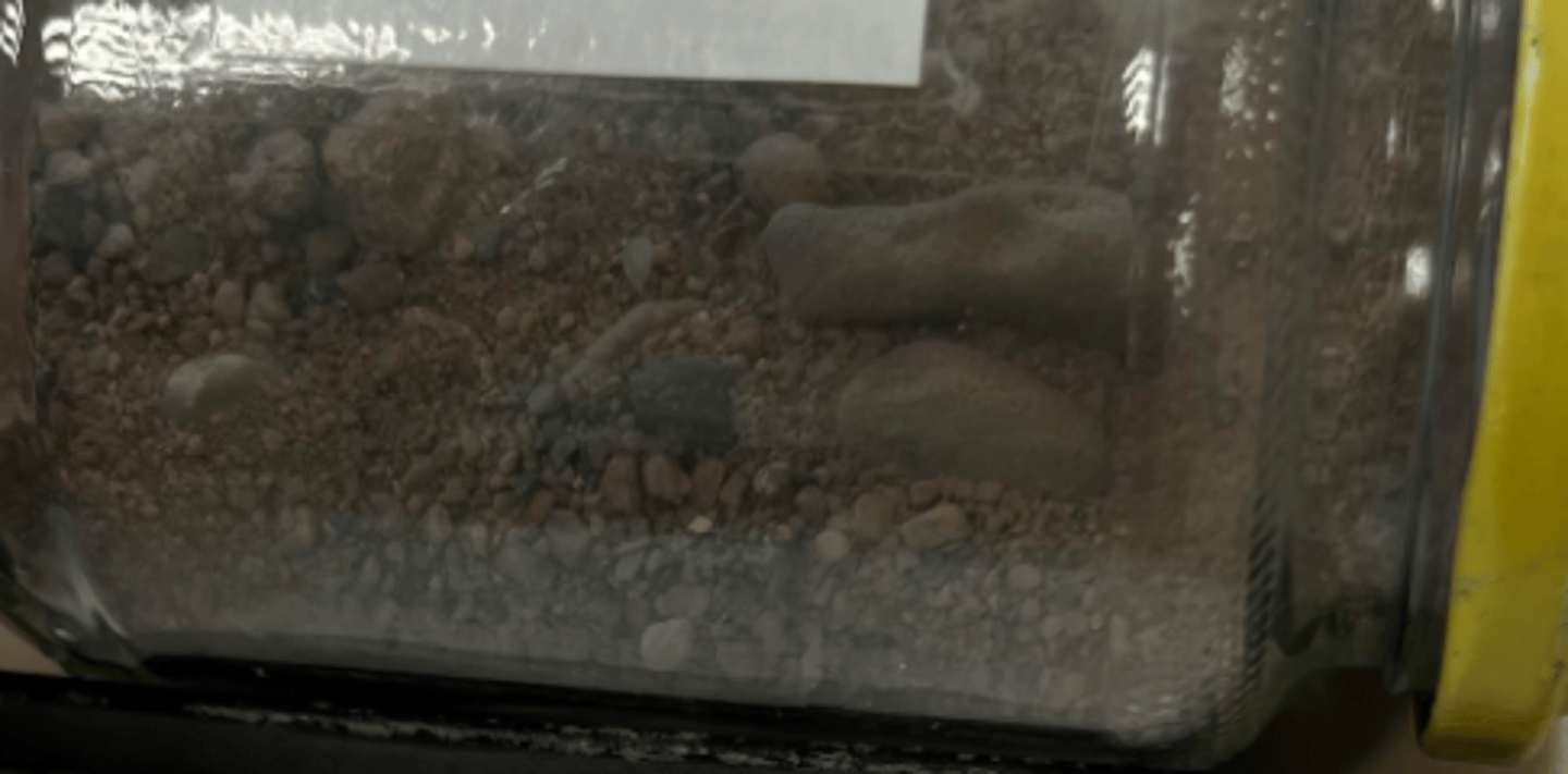 <p>sedimentary</p>