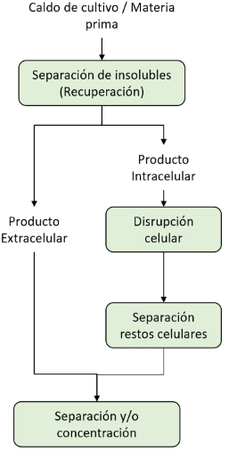 <p>¿En qué momentos se puede encontrar la centrifugación?</p>