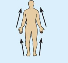 <p>closer to the origin of the body part of the point of attachment of a limb to the body trunk </p><p></p><p>example: the elbow is proximal to the wrist </p>