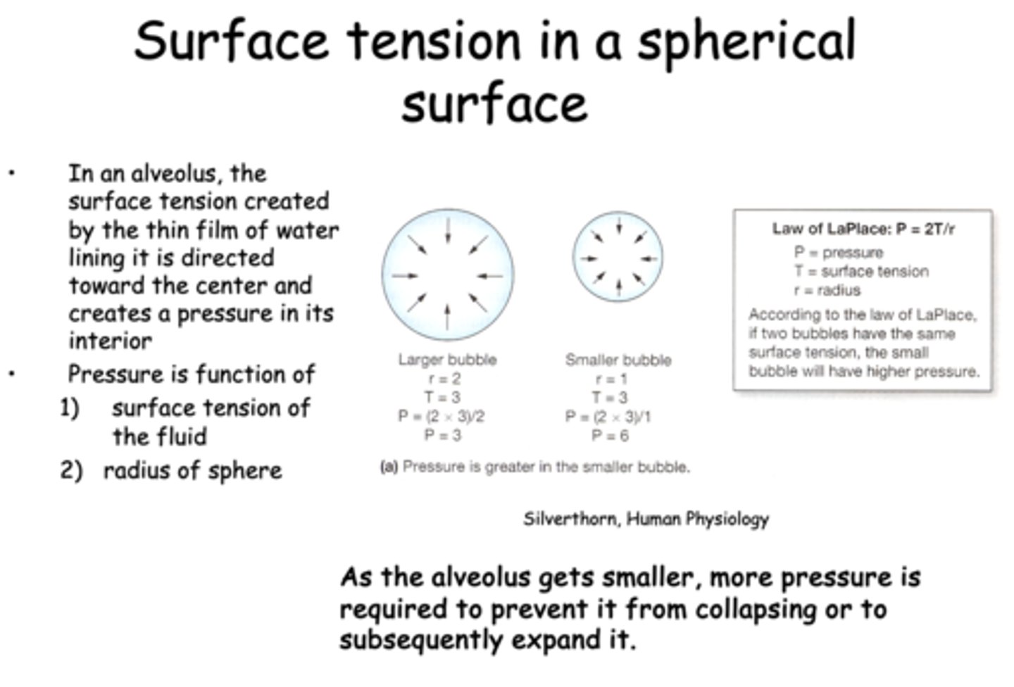 <p>- Surface tension</p><p>- Radius</p>