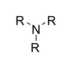 <p>A nitrogen atoms attached to R or H groups</p>
