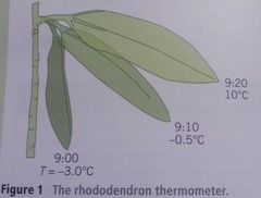 <p>When an organism reacts to temperature</p>
