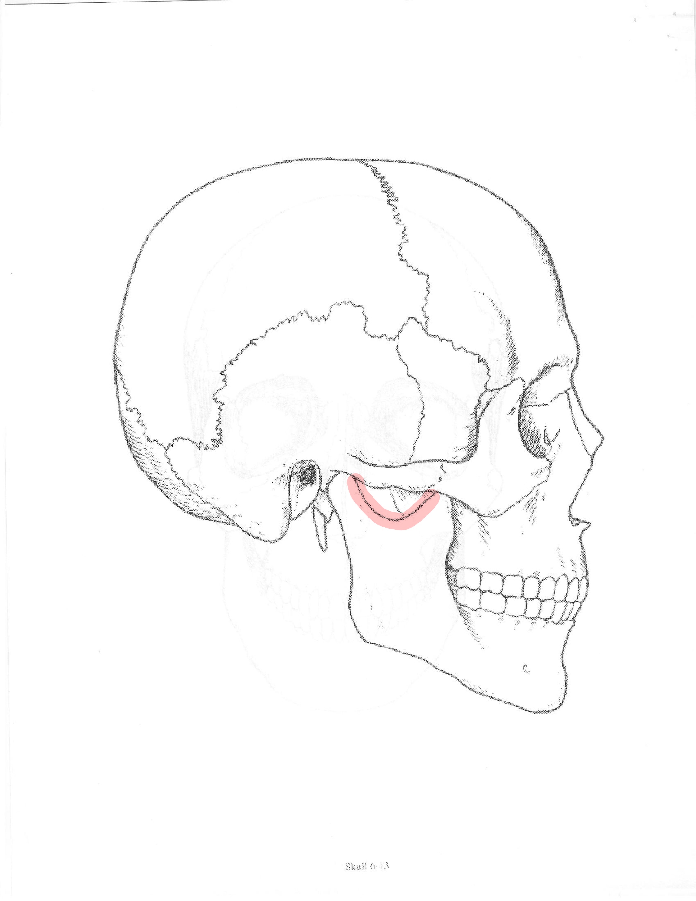 <p>ID feature</p>