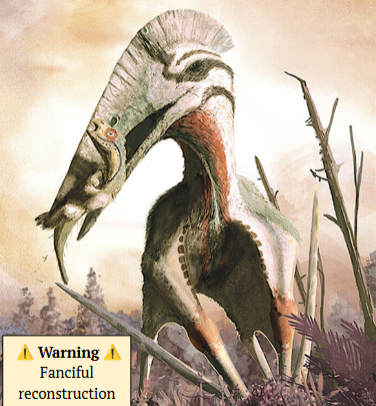 <p>Hatzegopteryx</p>