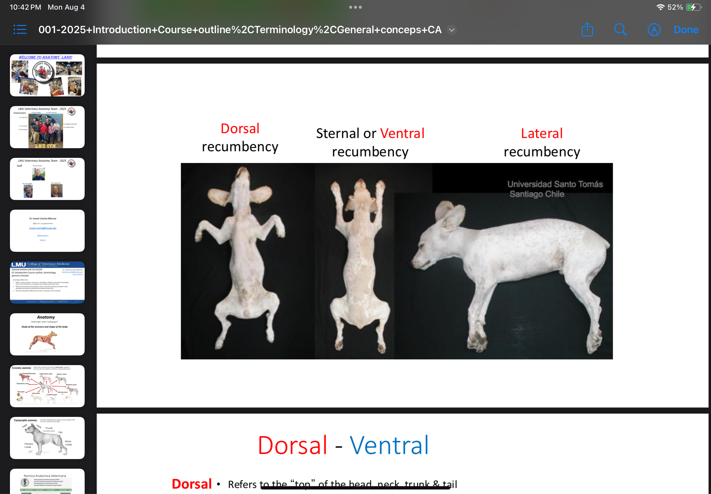 <p>Position in which the animal lies on its side.</p>