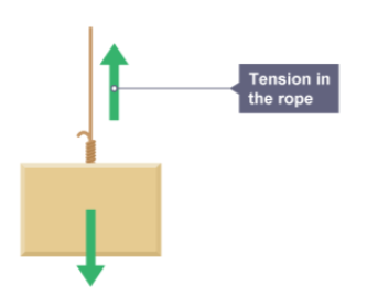 <p>tension force</p>