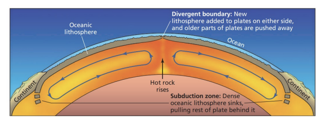 <p><strong>isostasy</strong></p>