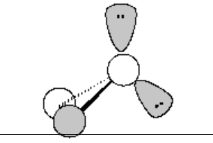 <p>list name, number of atoms bonded to central atom, lone pairs of e<sup>-</sup> on the central atom, bond angle, hybrid orbitals</p>