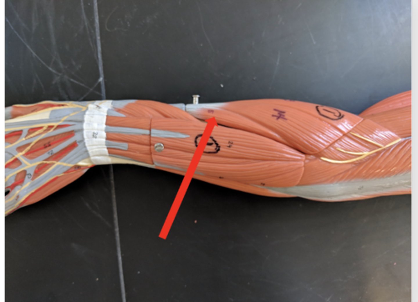 <p>what is this?</p>