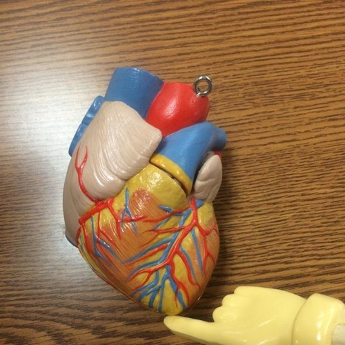 <p>point / tip</p>