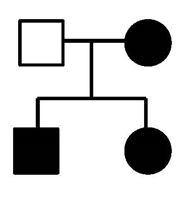 Is the inheritance pattern indicated by the shaded symbols in this pedigree consistent with the inheritance pattern of an X-linked dominant characteristic?