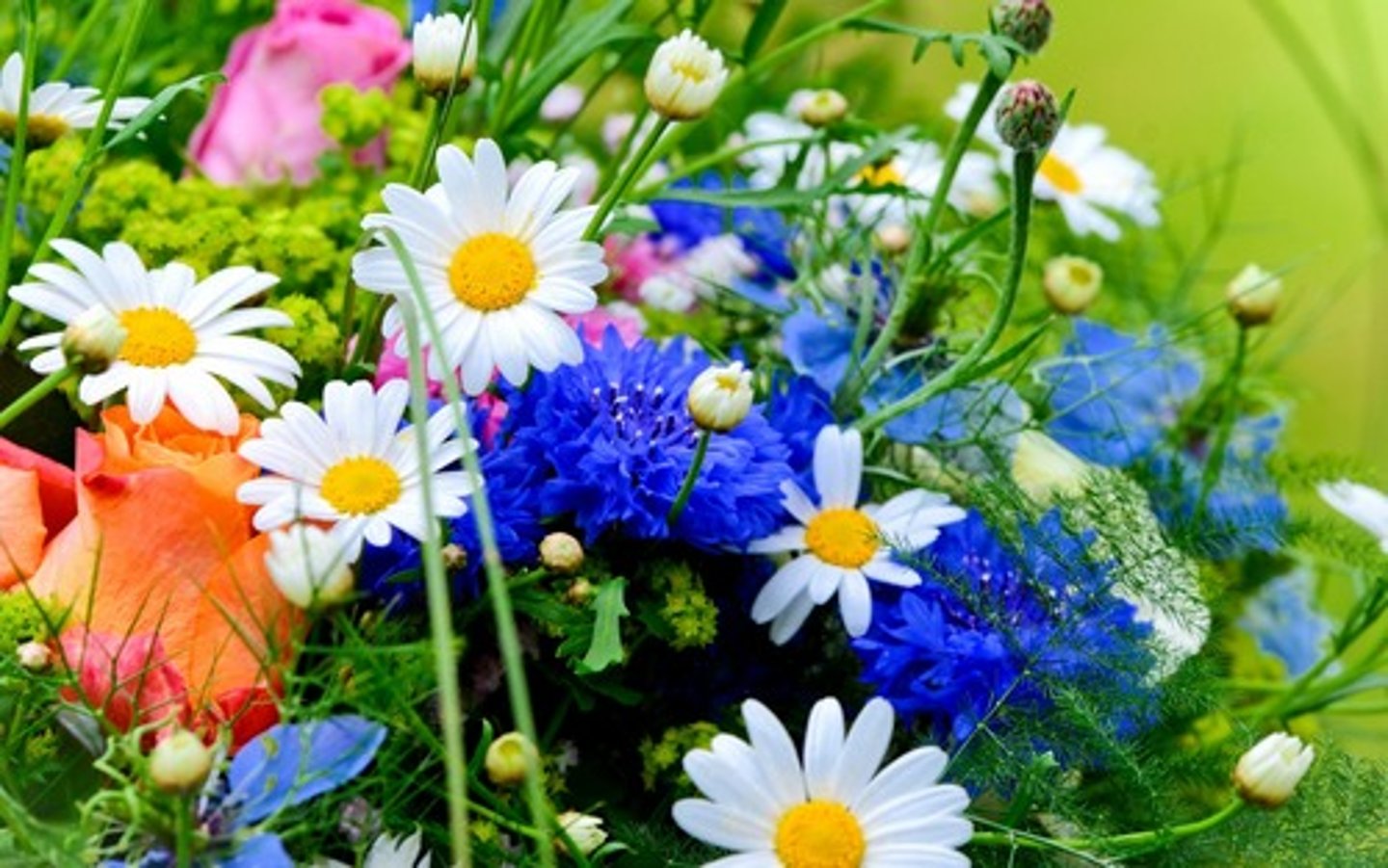 <p>(huā) flowers</p>