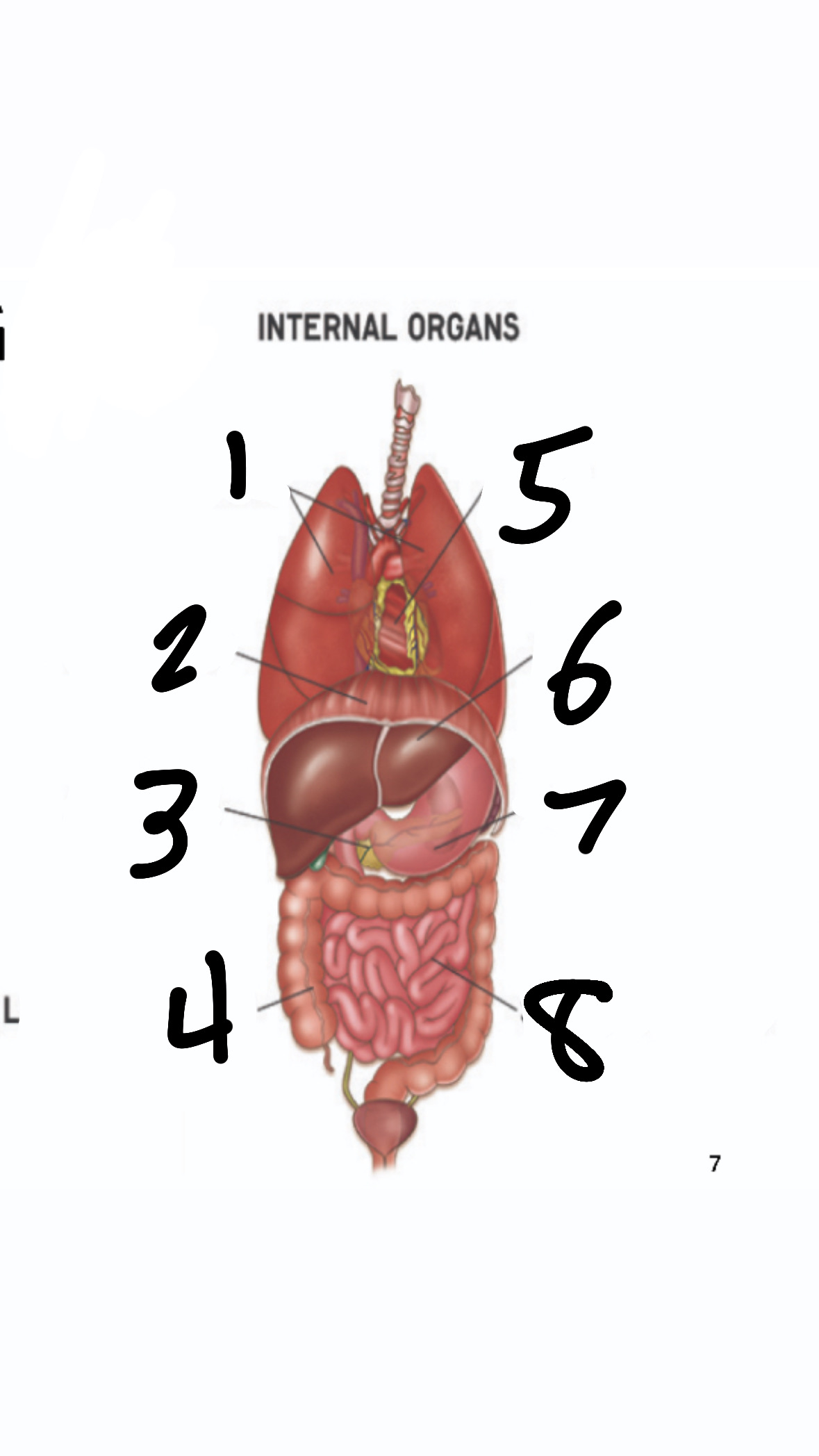 <p>What’s 4?</p>