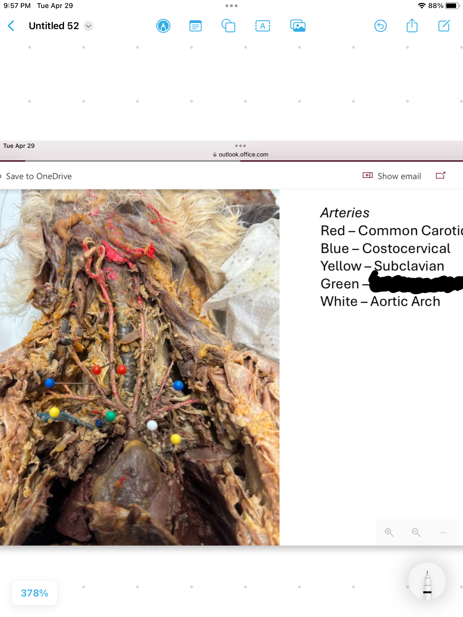 <p>label the area</p>