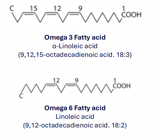 <p>Essential PUFAs: Omega 3 and 6 fatty acids</p>