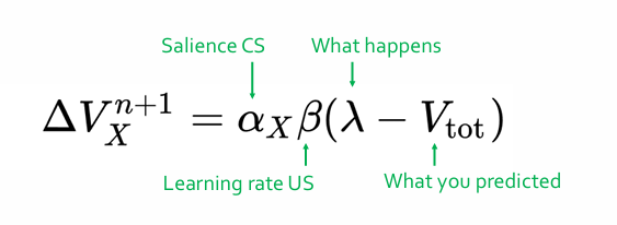<p>(labda-Vtot) == PE</p><p></p><p>b = learning rate us > parametriceert, zijn zo veel dingen om ons heen dat we niet oalles meteen 1:1 kunnen aannemen, maar als er echt vaker hetzelfde gebeurd dan kan dat wel, meer noradrenaline = sneller leren </p><p></p><p>alpa = salience van CS, geindexeerd met X</p><p>X = 1 bepaalde conditionele stimulus, dus bijv dat toontje</p><p></p><p>a*x*b krijg je een update term </p><p>hoeveel je die voorspellende waarde, van die bepaalde condition stimulus, geindex met die X > moet worden geupdate</p><p></p>