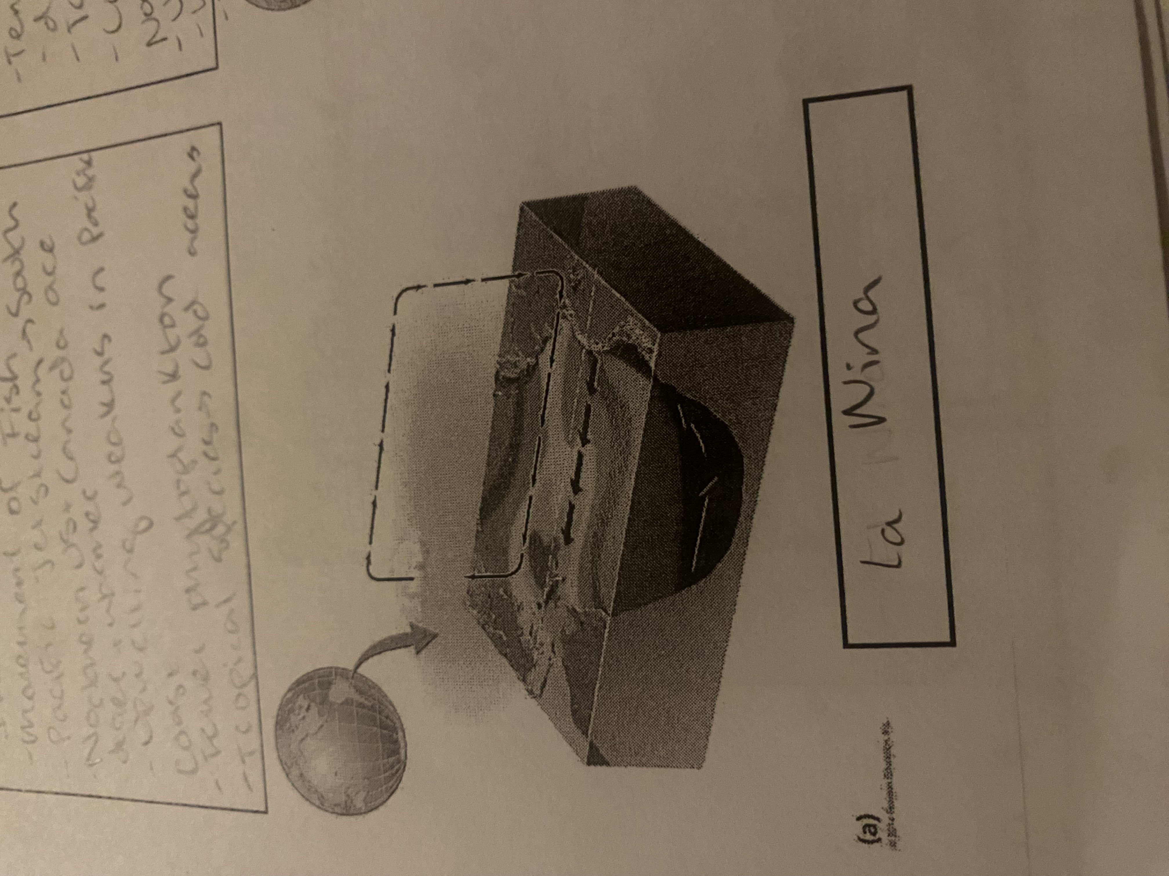 term image