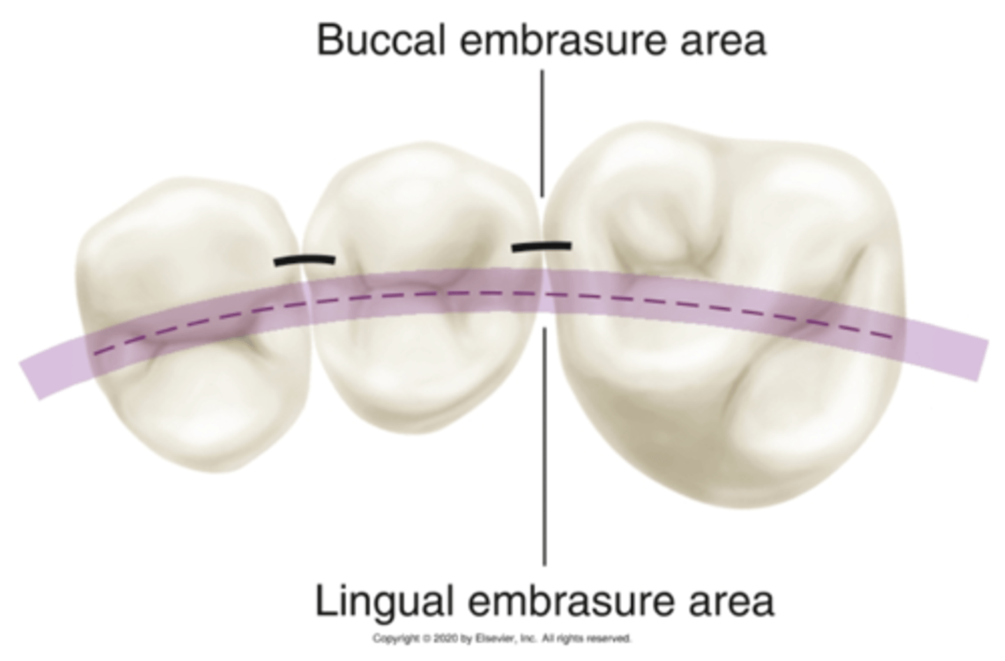 <p>Lingual embrasure area is a</p>