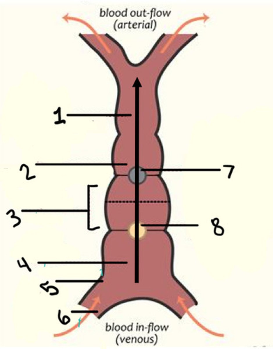 <p>What is 2</p>
