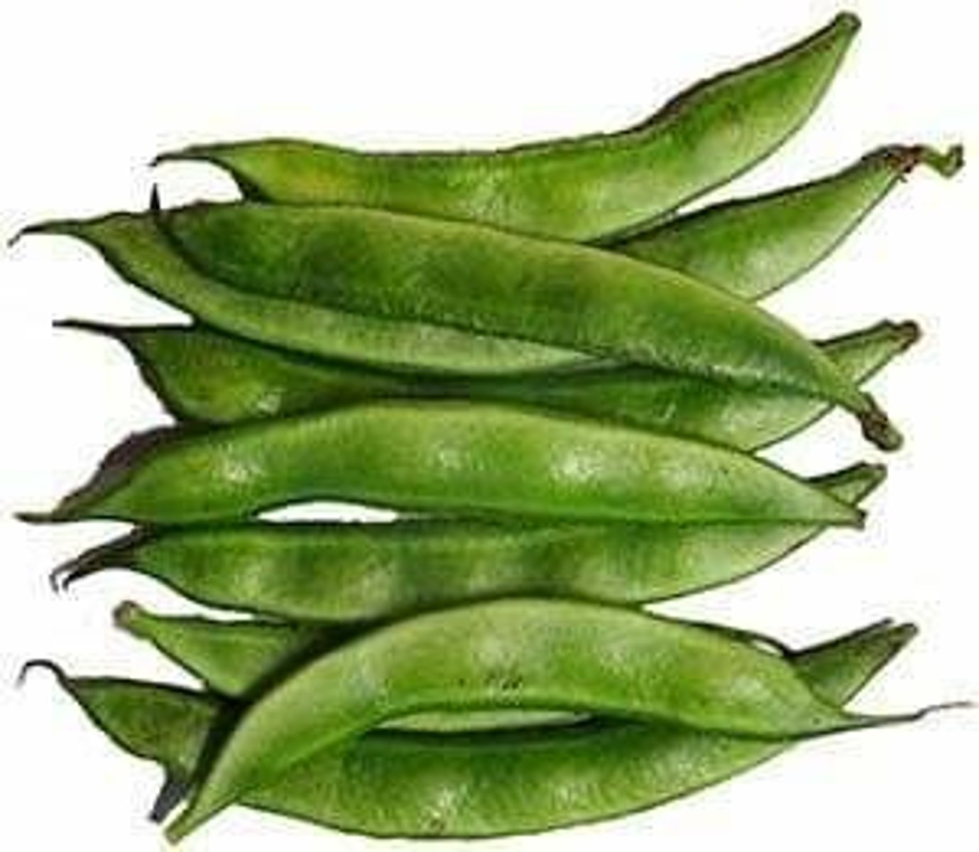 <p>Hyacinth Beans (Wal)</p>