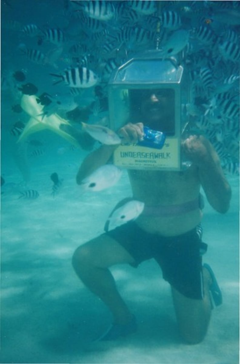 <p>(v): khám phá đáy biển</p>