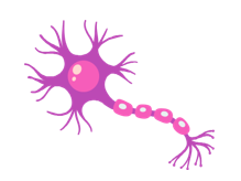 <p>What kind of cell is this?</p>