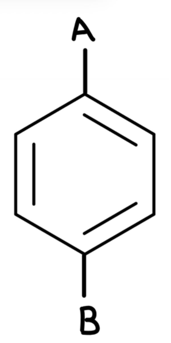 <p>para</p>