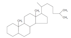<p>A type of saponin structure</p>