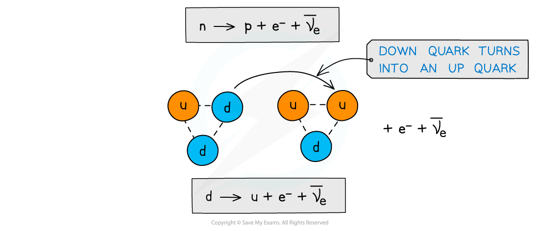 <p>Neutron turns into a proton so <span><strong>down</strong></span> quark into an <span><strong>up</strong></span> quark emitting electron and anti-electron neutrino</p>