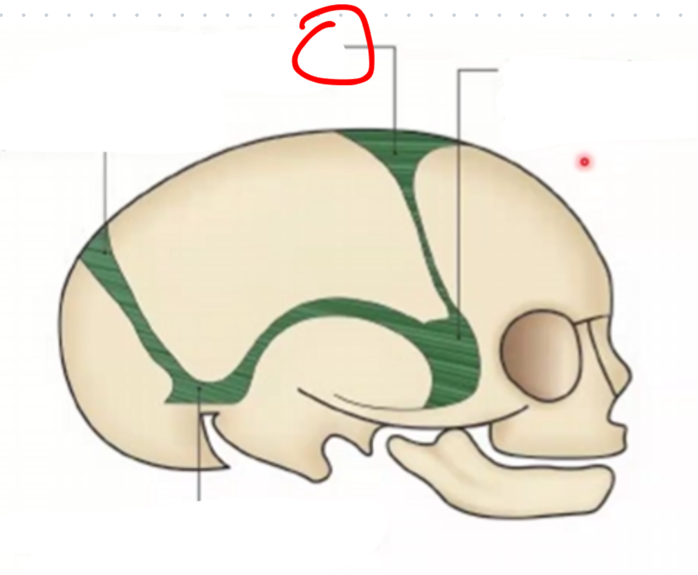 <p></p>