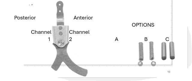 <p><span><span>Which combination would simulate an eccentric contraction of the Tibialis Anterior?</span></span></p>