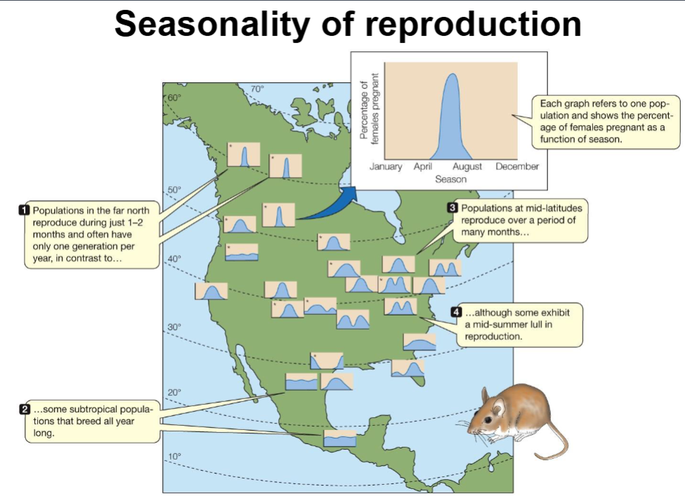 <ul><li><p><span style="background-color: transparent;"><span>Migration: Many species (birds, herds) migrate to follow resources (food, warmer temperatures) for successful breeding.</span></span></p></li><li><p><span style="background-color: transparent;"><span>Diapause: A state of suspended development (e.g., silkworm moth eggs require winter cold to trigger epigenetic changes for hatching).</span></span></p></li><li><p><span style="background-color: transparent;"><span>Delayed Implantation: Some animals conceive but delay embryo implantation to ensure birth occurs in resource-rich spring/summer.</span></span></p></li><li><p><span style="background-color: transparent;"><span>Overarching Principle: Reproduction is timed to ensure access to resources for the offspring.</span></span></p></li></ul><p></p>