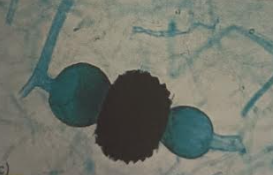 <p>What is this picture showing? Function?</p>