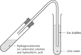 <p>Add dilute acid to a solid carbonate and look for any effervescence and bubble through limewater if it goes cloudy , positive result</p>