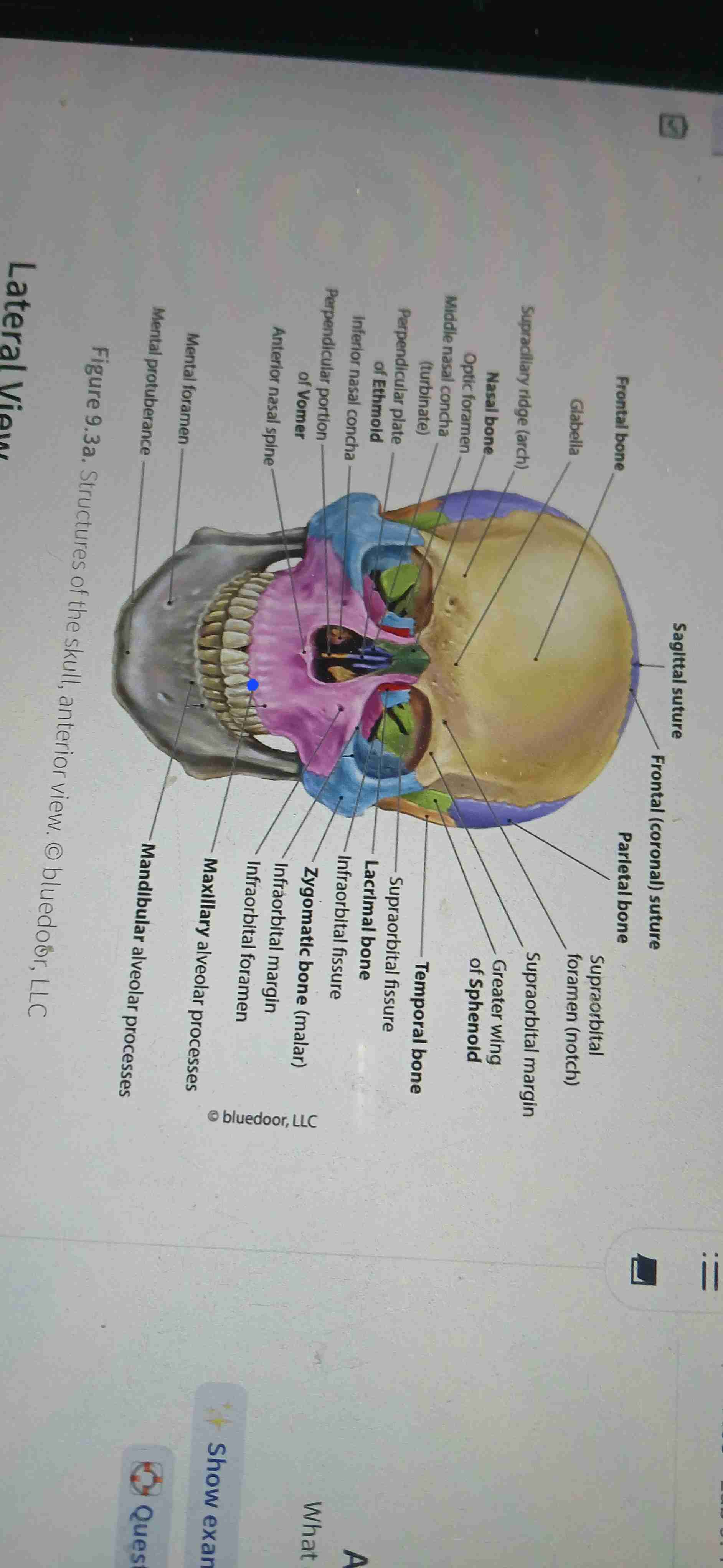 knowt flashcard image