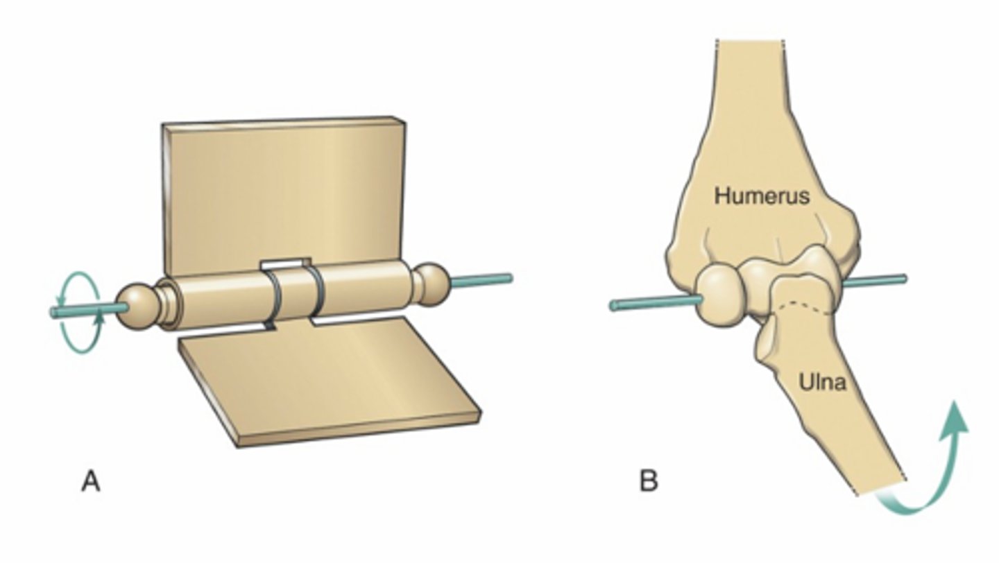 <p>1 DOF, 1 axis of rotation<br>Angular motion primarily in plane located at right angle to the axis <br>EX: elbow</p>