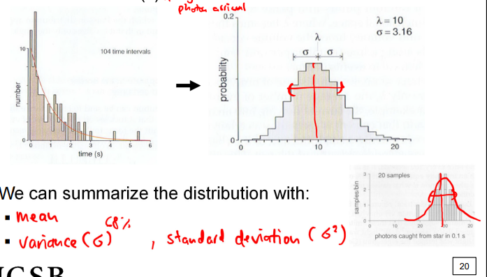 <p>a sequence of a random event that has a predictability to the behavior of the group</p><ul><li><p>only property we can ascribe to this process is it’s average rate since times of occurrence are independent of one another (one time of arrival does not predict the next)</p></li><li><p>but the shape of distribution changes with the average number of events (lambda)</p><ul><li><p>we can summarize the distribution with the mean and the variance (or standard deviation); reliable way to describe these random processes</p></li></ul></li></ul><p><em>key: random but independent events → especially in low-light conditions</em></p><p>mean = variance</p>
