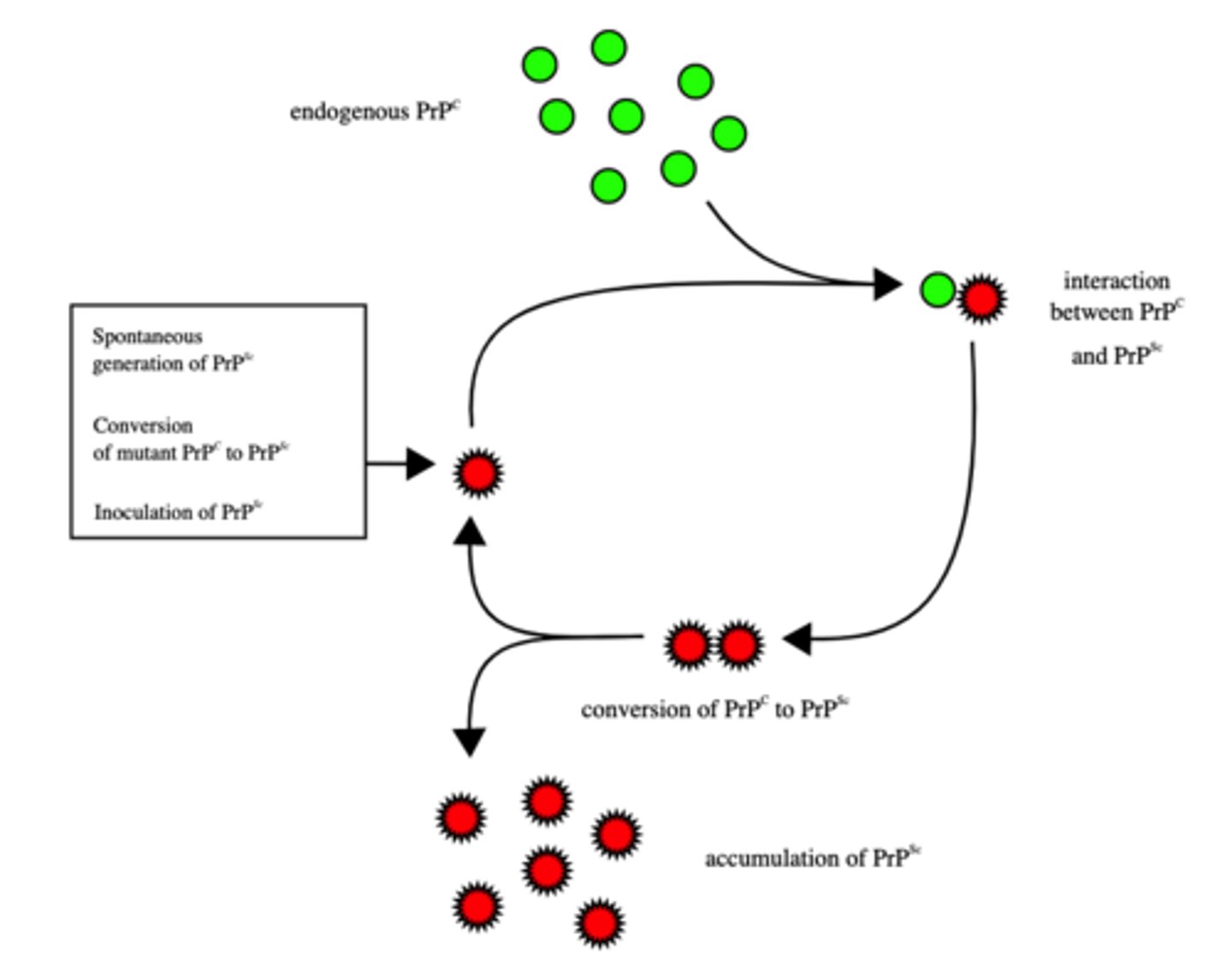 <p>prions</p><p>(Note: prions are fatal)</p>
