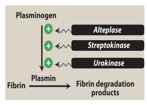<p>Act like t-PAs and convert plasminogen to plasmin to dissolve clots. </p><p></p><p>Suffix: “teplase” </p>
