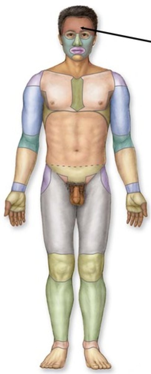 knowt flashcard image