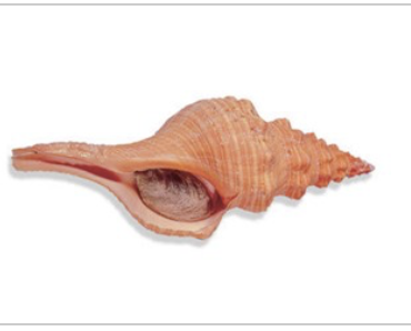 <p>What is this? </p>