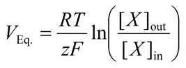 <p>Nernst Potential (Ex)</p>