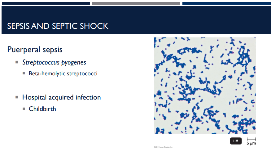 <p>What is puerperal sepsis?</p>