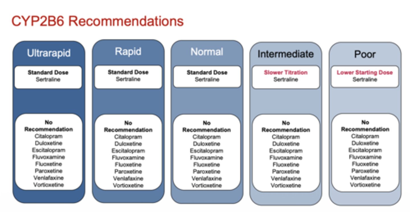 <p>sertraline → slower titration in intermediate metabolizers</p>