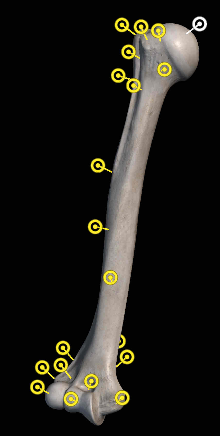 <p>Name the structure </p>