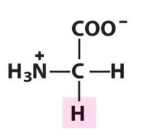 <p>What Amino Acid is This?</p>