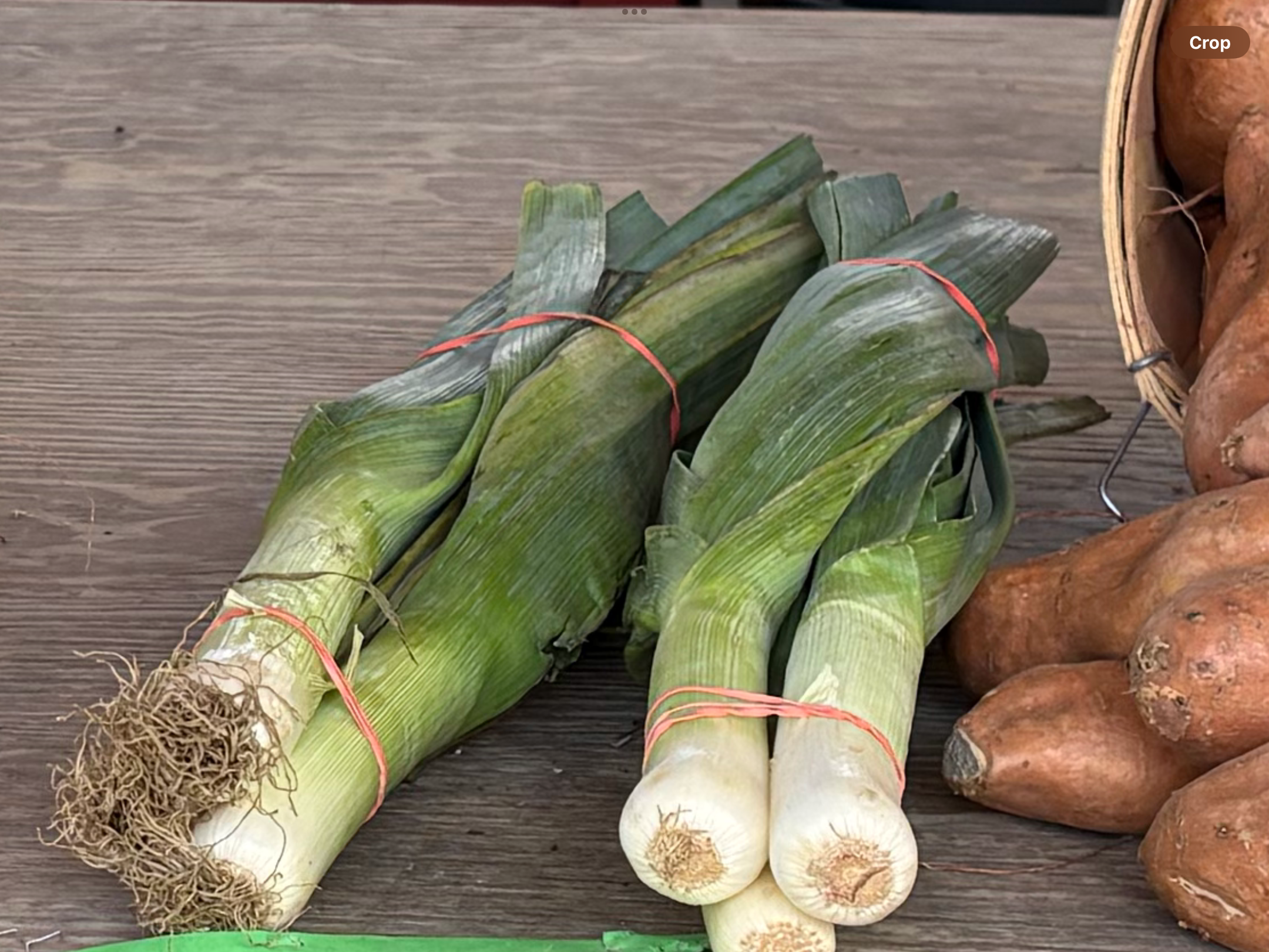 <p>Leek</p>