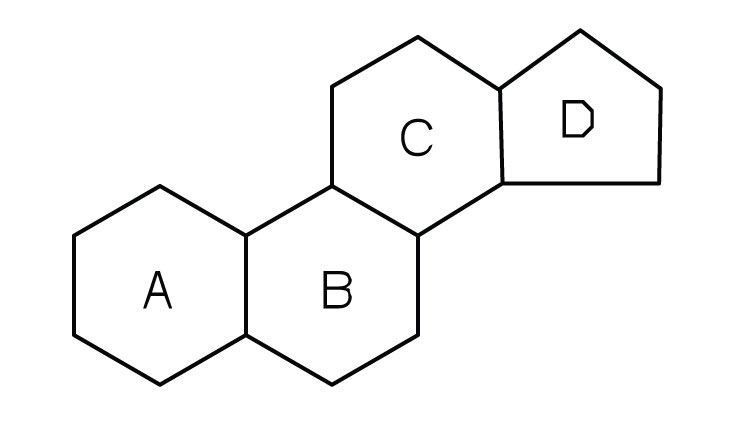 <p>lipids with 4 fused carbon rings </p><p>functional groups attached will vary depending on the steroid</p>